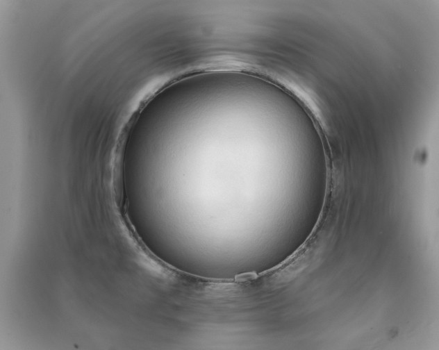 X0000091291477200708101236