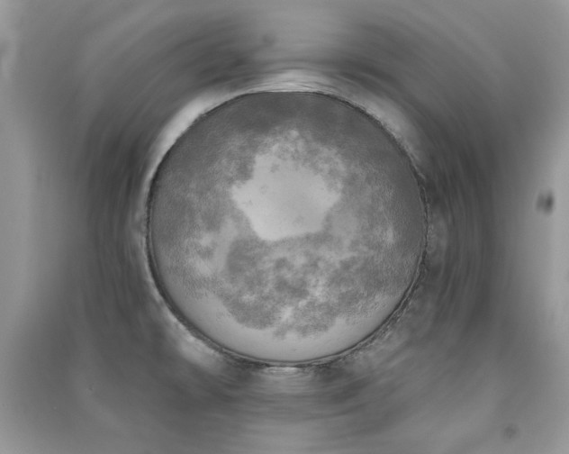 X0000091291478200708101236