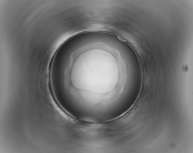 X0000091291479200708101236