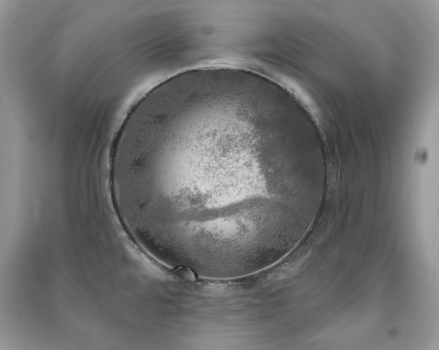 X0000091291480200708101236