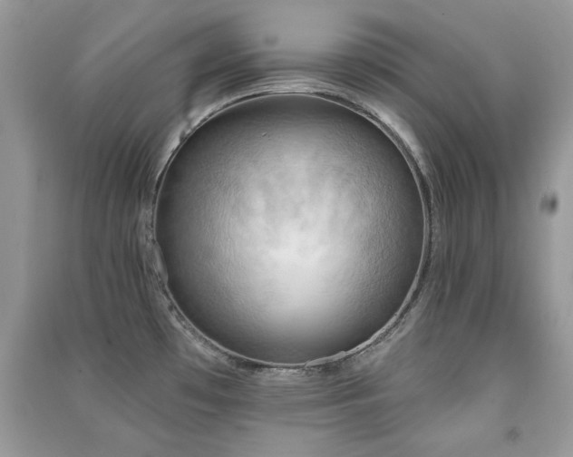 X0000091291481200708101236