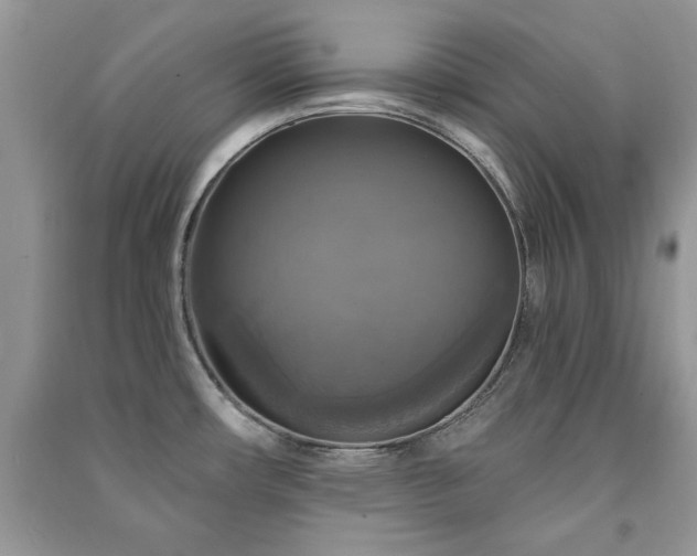 X0000091291482200708101236