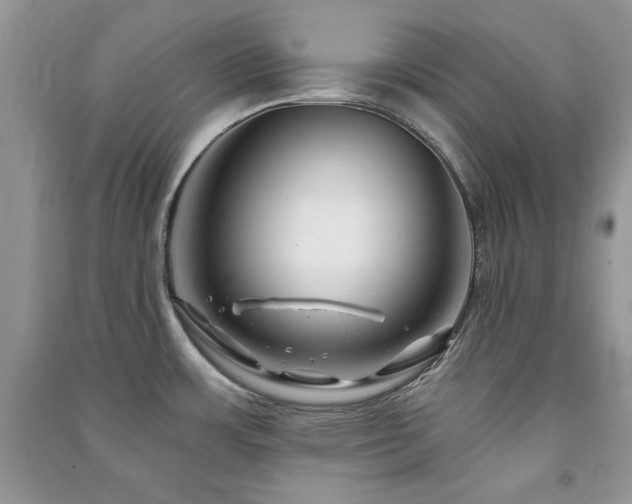 X0000091291483200708101236