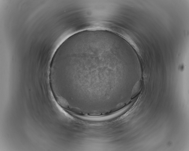 X0000091291484200708101236