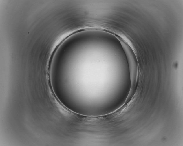 X0000091291485200708101236