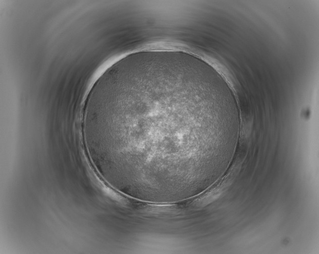 X0000091291486200708101236