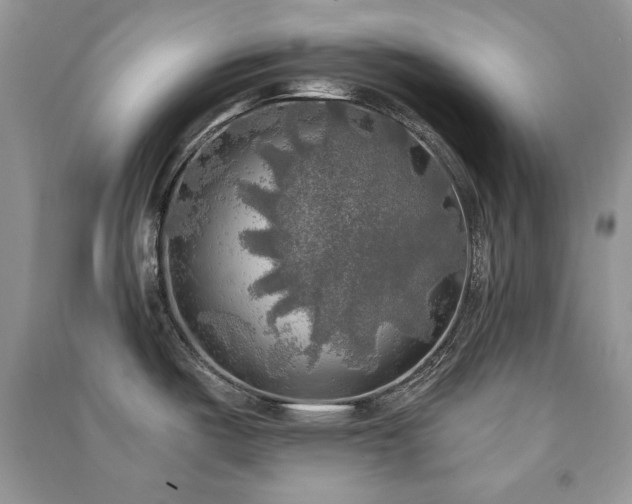 X0000091291487200708101236