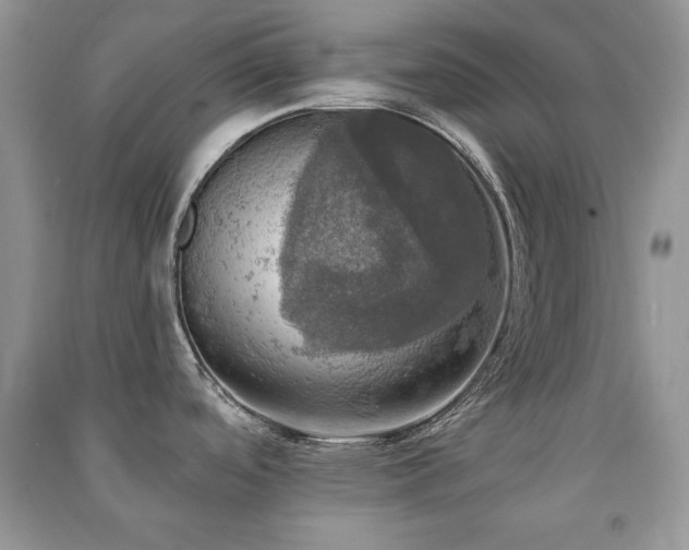 X0000091291488200708101236