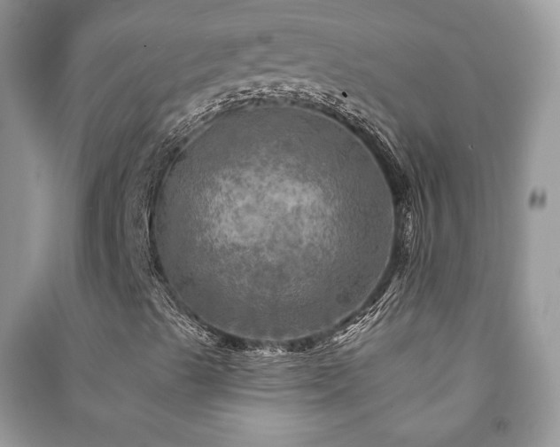 X0000091291489200708101235