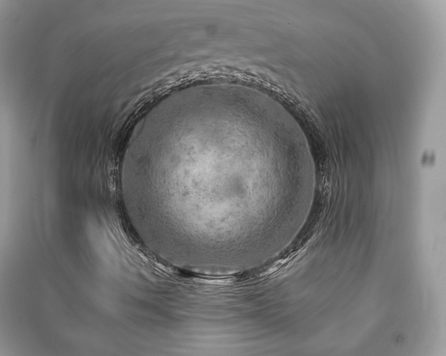 X0000091291490200708101235
