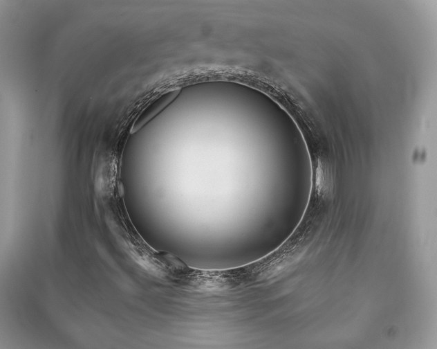 X0000091291492200708101235
