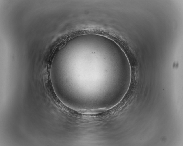 X0000091291493200708101235