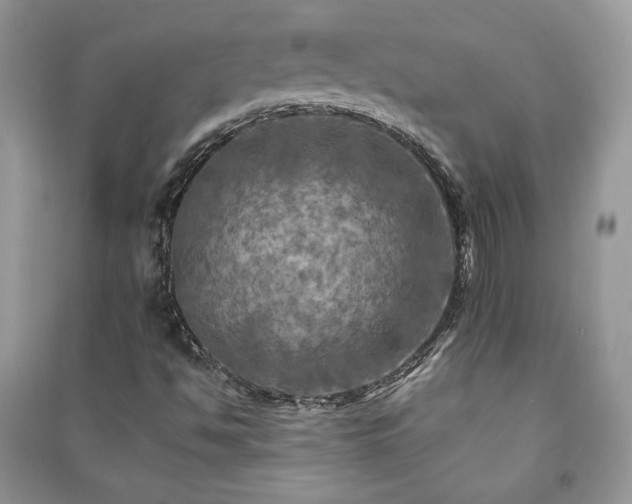 X0000091291494200708101235