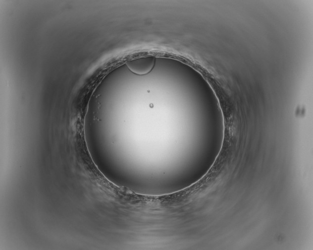 X0000091291495200708101235
