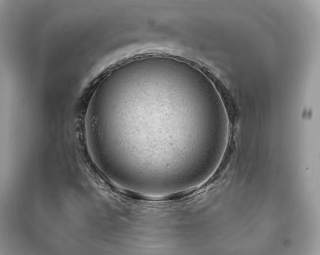 X0000091291496200708101235