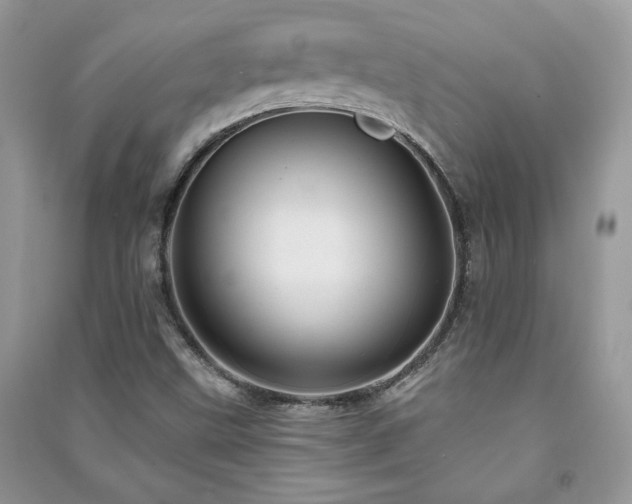 X0000091291499200708101235
