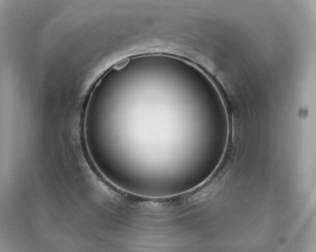 X0000091291500200708101235