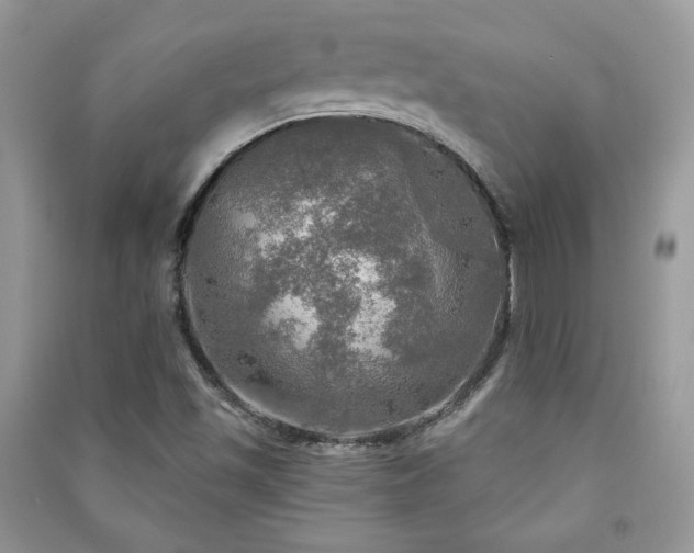 X0000091291501200708101235