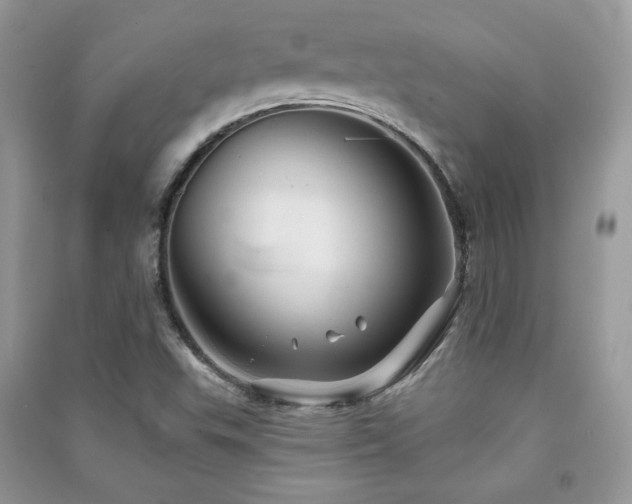 X0000091291503200708101235