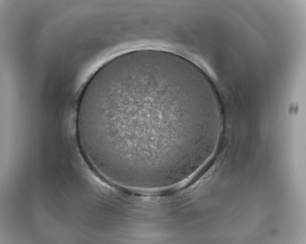 X0000091291504200708101235