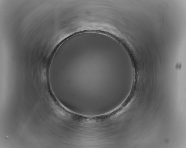 X0000091291505200708101235