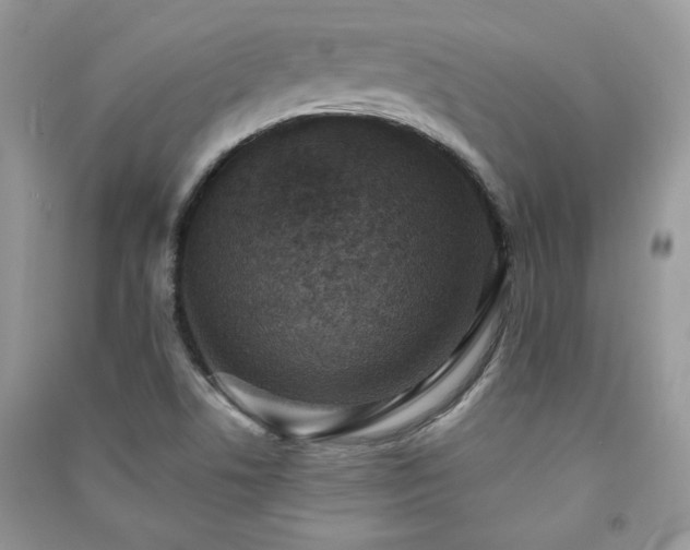 X0000091291506200708101235