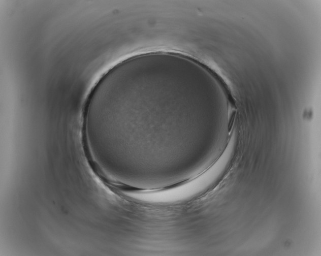 X0000091291508200708101235
