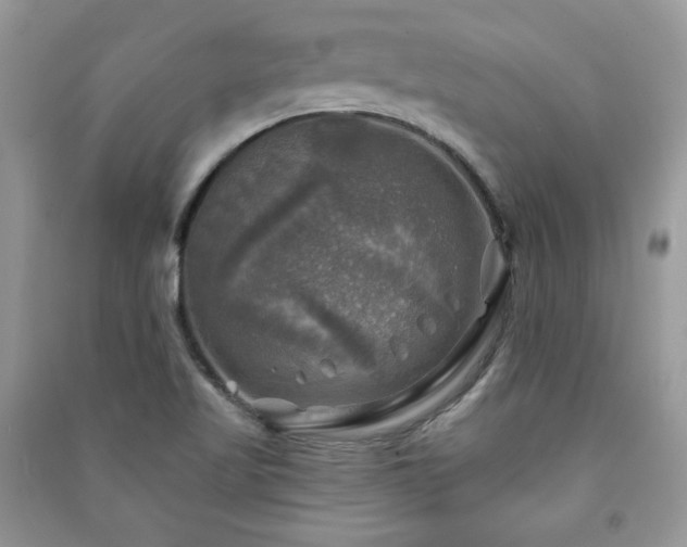 X0000091291509200708101235