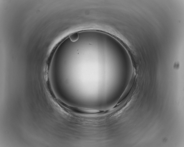 X0000091291510200708101235