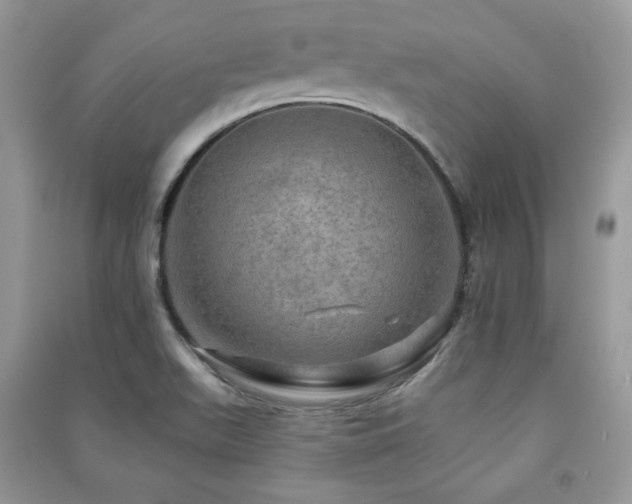 X0000091291511200708101235