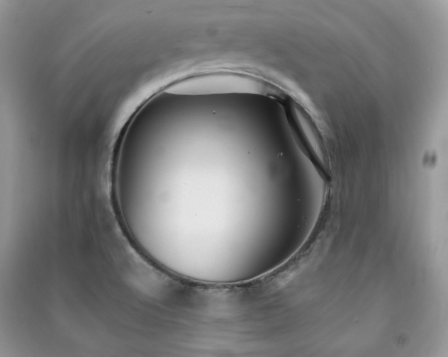X0000091291512200708101235