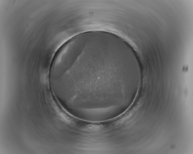X0000091291513200708101235