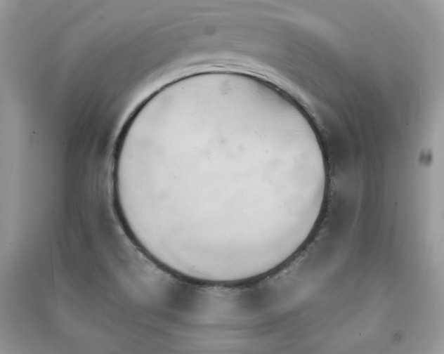 X0000091291514200708101235
