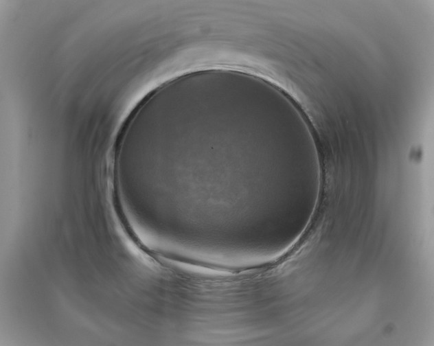 X0000091291515200708101235