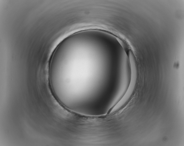 X0000091291516200708101235