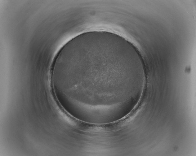 X0000091291517200708101235