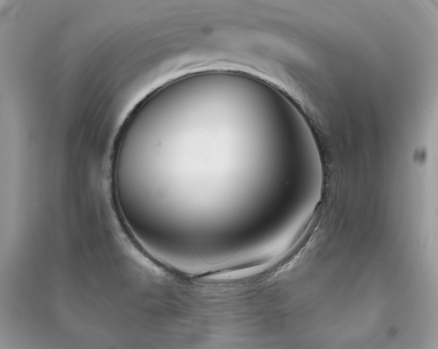 X0000091291518200708101235