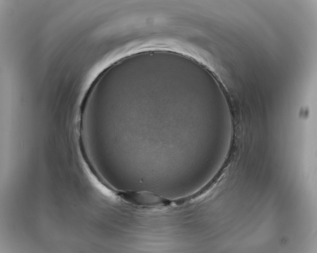 X0000091291519200708101235