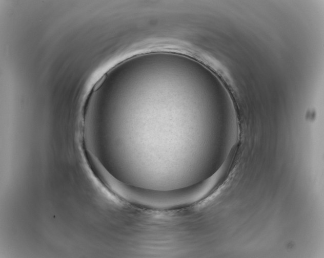 X0000091291520200708101235