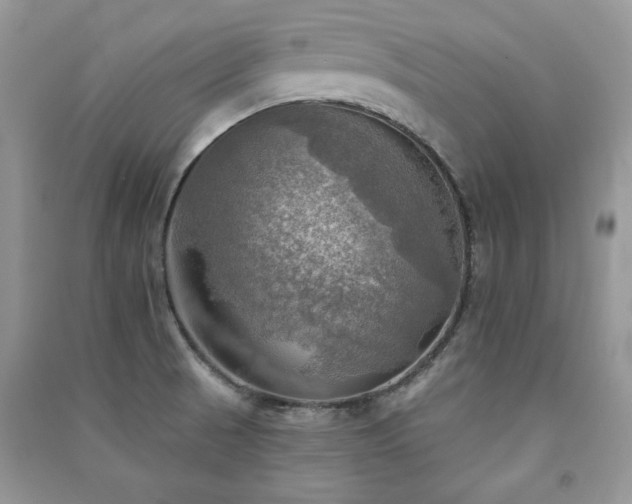 X0000091291521200708101235
