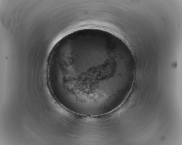 X0000091291522200708101235