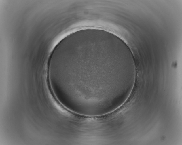 X0000091291523200708101235