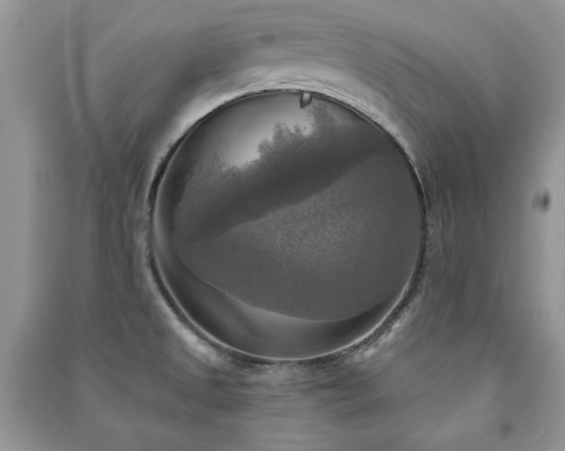 X0000091291525200708101235