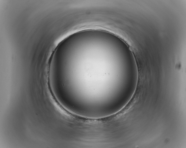 X0000091291526200708101235