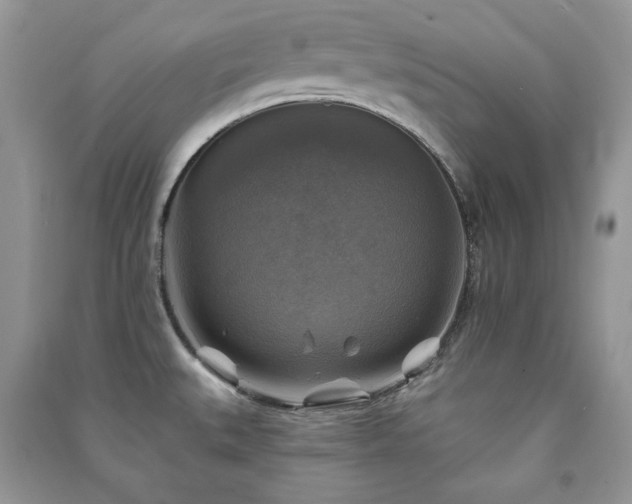 X0000091291527200708101235