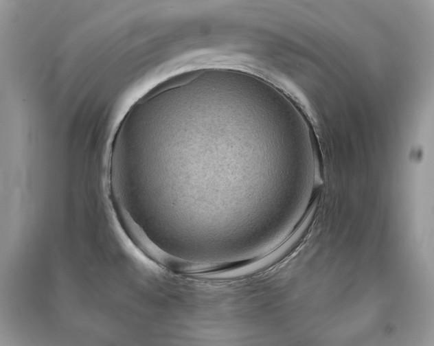 X0000091291528200708101235