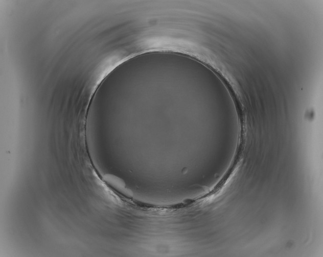 X0000091291529200708101235