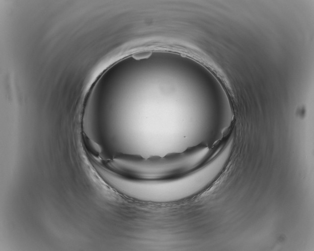 X0000091291530200708101235