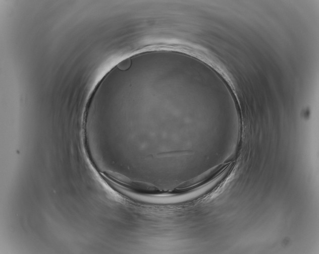 X0000091291533200708101235