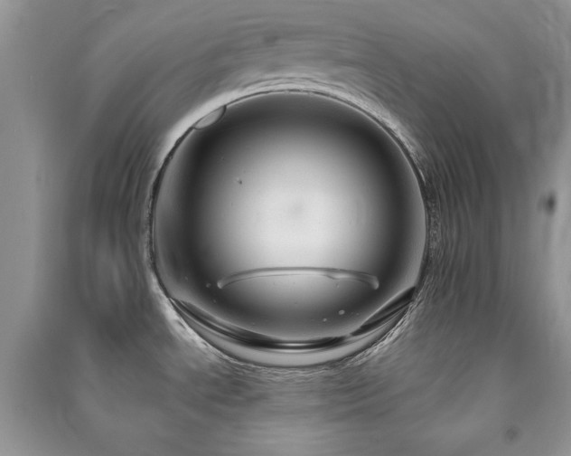 X0000091291534200708101235